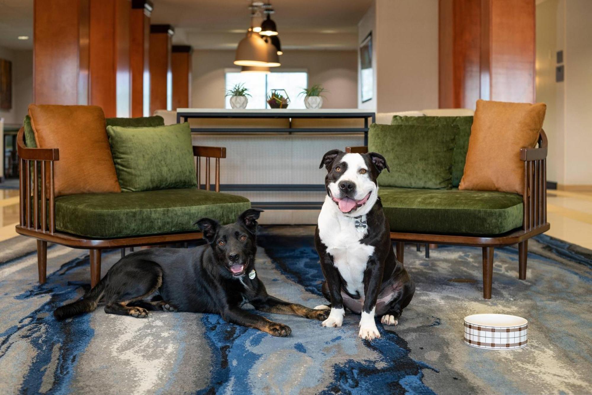 Fairfield Inn & Suites Redding Esterno foto